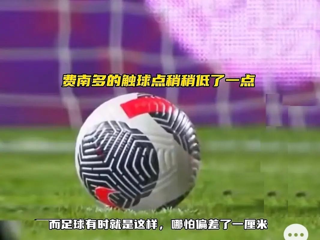 本赛季不容